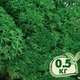 Стабилизированный мох ягель Nordic moss Зеленый травяной темный 0,5 кг - изображение 1