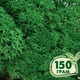 Стабилизированный мох ягель Nordic moss Зеленый травяной темный 150 грамм - изображение 1