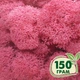 Стабилизированный мох ягель Nordic moss Цикламен 150 грамм - изображение 1
