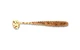 Силіконовий віброхвіст для мікроджигу Reins Aji Ringer Shad 1.6" #321 Golden Legend (їстівний, 15шт) - зображення 1