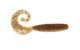Силіконовий твістер для мікроджигу Reins Fat G-tail Grub 2" #007 Ebimiso SP (їстівний, 20шт) - зображення 1