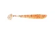 Силіконовий віброхвіст для мікроджигу Reins Aji Ringer Shad 1.6" #030 Ebisen (їстівний, 15шт) - зображення 1