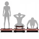 Віброплатформа HMS Sky 3D Vibration Plate SVP21 - изображение 7