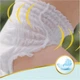 Підгузки Pampers Premium Care Pants Extra Large (15+ кг), 18 шт (8001090190543) - зображення 6