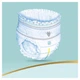 Підгузки Pampers Premium Care Pants Extra Large (15+ кг), 18 шт (8001090190543) - зображення 7