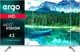 Телевизор Ergo 43DFT7000 - изображение 3