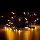 Гирлянда YES! Fun LED уличная 65 ламп, IP 65, тепло-белая 12.25 м (801164) - изображение 1
