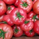 Семена томатов DRS-Seminis Пинк ид f1 (пинк айди f1, pink id f1) 500 семян - изображение 3