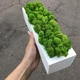 Деревяное кашпо со стабилизированым мхом 30 см MiNature Moss - изображение 1