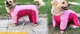 Комбинезон для собак с закрытым животом Dresspet Sport L Pink - изображение 3