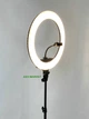 Профессиональная кольцевая светодиодная лампа LED RING LIGHT D 45 см 65W на штативе с сумкой (чехлом) яркая для блогера / селфи / фотографа / визажиста / beauty мастеров - изображение 11