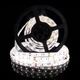 Светодиодная лента OEM ST-12-5050-60-CW-65-V2 белая, герметичная, 5м - изображение 3