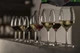 Набор бокалов для вина Schott Zwiesel Banquet Universal 475мл 121592 - изображение 3