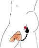 Эрекционное кольцо с анальной пробкой Intense Plug Cock and Ball Ring (19358000000000000) - изображение 7