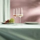 Набір келихів для шампанського Schott Zwiesel Vivid Senses Light & Fresh Sparkling Wine 388мл 122430 - зображення 3