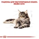 Сухой корм для кошек Royal Canin MAINE COON ADULT для кошек породы Мейн-кун 10кг - изображение 4