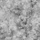 Обои 37542-1 AS Creation New Walls сакура серая 1.06 х 10.05 м - изображение 1