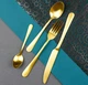 Набор столовых приборов Amefa Austin Gold 6/24 1410AUTR24C40 - изображение 2