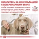 Вологий корм для собак Royal Canin Satiety Weight Management контроль ваги 400г - зображення 7