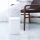 Умная корзина для мусора Xiaomi Ninestars Sensor Trash Can (DZT-10-29S) - изображение 6