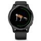 Смарт-часы Garmin Venu Black/Slate (010-02173-13) - изображение 2