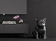 Акустика Jarre AeroBull HD1 Matte Black - изображение 2