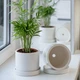 Керамічний горщик для рослин Mini Plant 9x11,5см Циліндр Білий - зображення 2