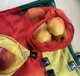 Багаторазові мішечки для продуктів Corgi bags экомешочки з сітки розмір SML різнокольорові - зображення 4