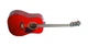 Вестерн гітара Washburn OG2TR 93091 - зображення 2