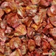 Насіння кукурудзи Lark Seeds Добриня f1 2500 насінин - зображення 3