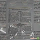 Насіння кукурудзи Lark Seeds Добриня f1 2500 насінин - зображення 6