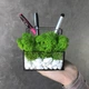 Моссариум подставка для ручек MiNature Moss со стабилизированым мхом - изображение 2