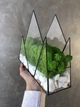 Моссариум Горы со стабилизированым мхом MiNature Moss - изображение 2