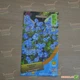 Насіння незабудки Moravoseed Лісова блакитна 0,15 г - зображення 2