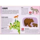 Sassi Travel, Learn and Explore: Animals: Endangered Species of the World Carry Puzzle. Sassi. ISBN:9788830302594 - изображение 3