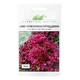 Семена Салат Ред Дженни Florium (718032) - изображение 2