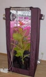 Гроубокса Growbox 80 * 80 * 160см + LED лампа 200Вт для рослин, грибів. Повний комплект - зображення 8