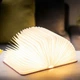 Світильник-книга на акумуляторі MINI URBAN Gingko (Англія), рожевий - изображение 3