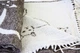 Плед хлопковый LightHouse Cats коричневый 140x200 2200000552075 - изображение 4