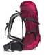 Рюкзак Deuter Futura 24 SL колір 5053 blackberry-magenta (34224 5053) - зображення 6