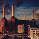 PINK FLOYD – Animals - зображення 1