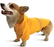 Дождевик Noble Pet Moss Yellow M4108/3XL-Long (00001342) - изображение 18
