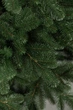 Ялинка лита "Ковалівська" Зелена 1,80 м (SG4829221200183) ТМ SigaGroup - зображення 3