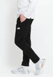 Мужские штаны The North Face Standard Pant S Черный NF0A4M7LJK31 - изображение 3
