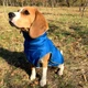 Жилетка для собак NoblePet Supper Doggy M Blue - изображение 2