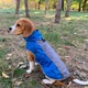 Жилетка для собак NoblePet Supper Doggy M Blue - изображение 3