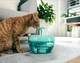 Фонтан-поїлка для котів і собак PAWOOF 1.5L з фільтром, Зелений (006-GREEN) - зображення 4