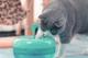 Фонтан-поїлка для котів і собак PAWOOF 1.5L з фільтром, Зелений (006-GREEN) - зображення 11