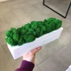 Деревяне брашироване кашпо із стабілізованим мохом MiNature Moss - зображення 1