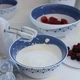 Салатник Stefanplast Tosca 19 см Бело-голубой (55002) - изображение 2